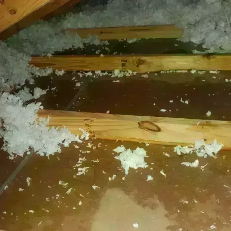 Attic Water Damage in Marion, IN