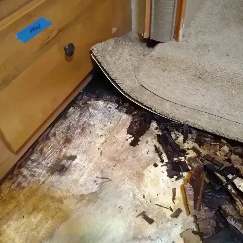 Best Wood Floor Water Damage Service in Marion, IN